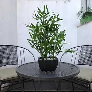 Monoambiente Calido, Luminoso, Con Cochera!!!! Apartamento